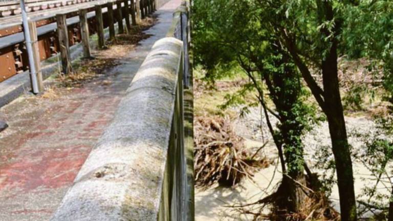 Valle Savio, ponti ostruiti anche a monte: allarme per Ponte Giorgi Valle Savio, ponti ostruiti anche a monte: allarme per Ponte Giorgi