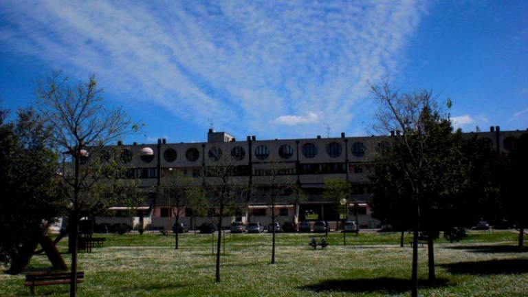 Cesena: isole di raffreddamento green per la zona di Case Finali Cesena: isole di raffreddamento green per la zona di Case Finali