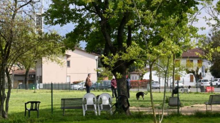 Imola, il caso dell'area cani: Thor sempre con la museruola Imola, il caso dell'area cani: Thor sempre con la museruola