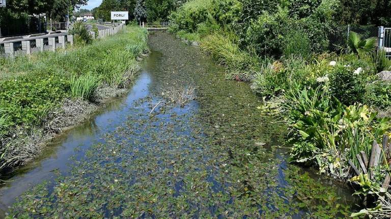 Forlì, canale tracima: allarme in via Firenze Forlì, canale tracima: allarme in via Firenze