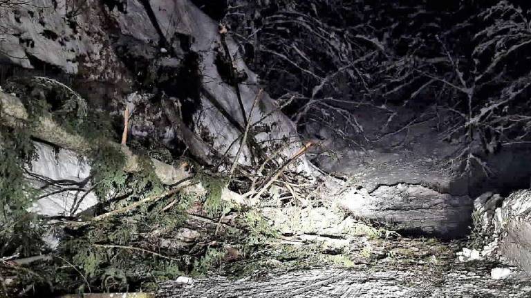 Campigna, strada bloccata, oggi la riapertura: Siamo esausti, non possiamo lavorare Campigna, strada bloccata, oggi la riapertura: Siamo esausti, non possiamo lavorare