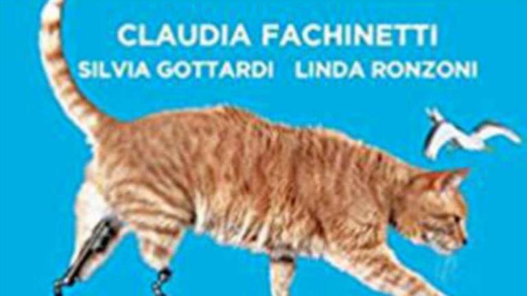 Libri per ragazzi: il gatto Vito di Claudia Fachinetti Libri per ragazzi: il gatto Vito di Claudia Fachinetti
