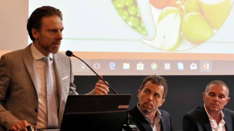 Bollette, la Fruttagel di Alfonsine: costi saliti di 640mila euro Bollette, la Fruttagel di Alfonsine: costi saliti di 640mila euro