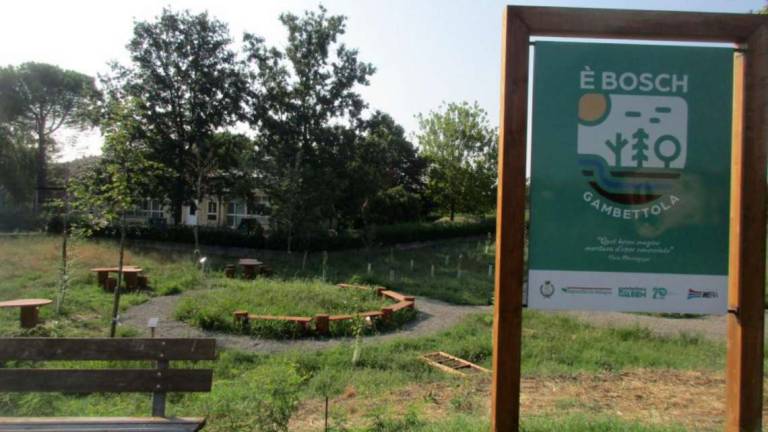 Gambettola: in crescita il progetto del bosco urbano Gambettola: in crescita il progetto del bosco urbano