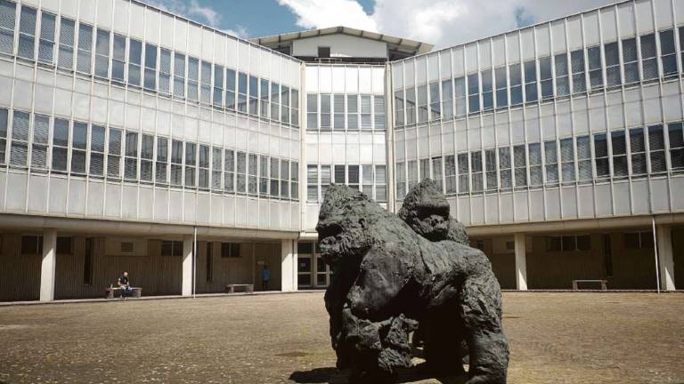 Ravenna, annuncio hot contro la ex: 75enne a giudizio per stalking Ravenna, annuncio hot contro la ex: 75enne a giudizio per stalking