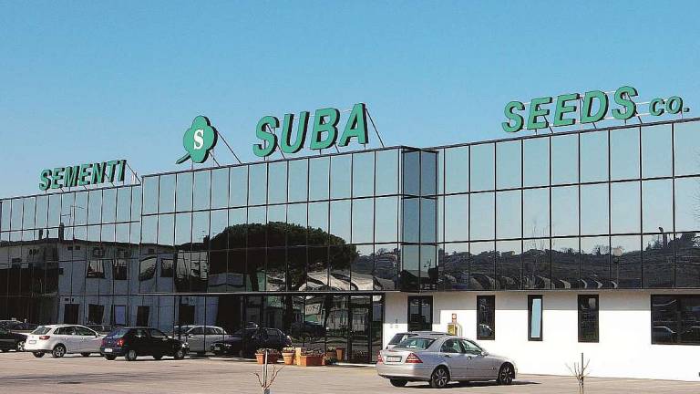 Longiano, l'azienda sementiera Suba comprata da un colosso cinese Longiano, l'azienda sementiera Suba comprata da un colosso cinese