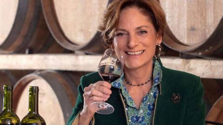 Venerosi Pesciolini, sette secoli di vino nelle terre di Pisa Venerosi Pesciolini, sette secoli di vino nelle terre di Pisa