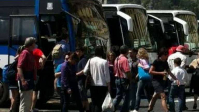 Forlì. Trasporto merci e persone, boom di immatricolazioni Forlì. Trasporto merci e persone, boom di immatricolazioni