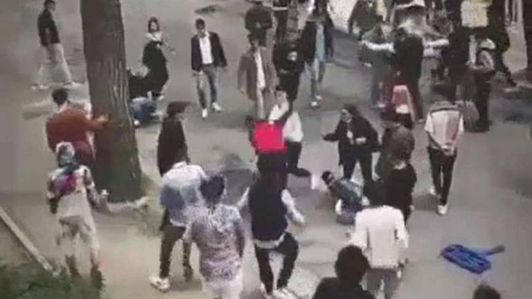 Milano Marittima, Comune parte civile contro i rissaioli Milano Marittima, Comune parte civile contro i rissaioli