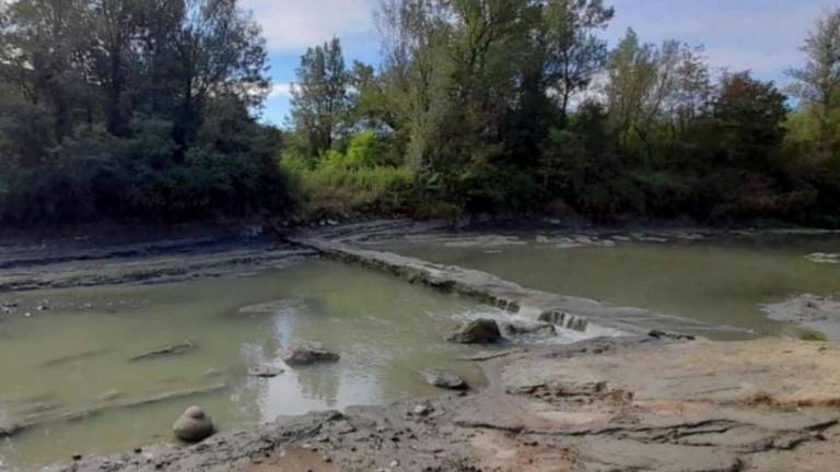 Mercato Saraceno, per nuovo guado di Piaia indagini archeologiche Mercato Saraceno, per nuovo guado di Piaia indagini archeologiche