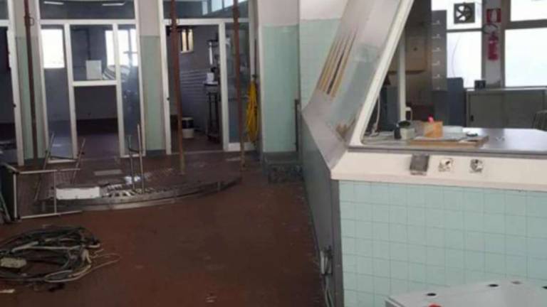 Cesenatico, cominciati i lavori al mercato ittico Cesenatico, cominciati i lavori al mercato ittico