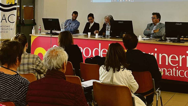 Cesenatico, albergatori: estate d'oro ma verde e rifiuti fanno discutere Cesenatico, albergatori: estate d'oro ma verde e rifiuti fanno discutere
