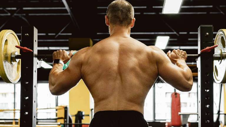 La proteina che mantiene sane le giunzioni neuromuscolari La proteina che mantiene sane le giunzioni neuromuscolari