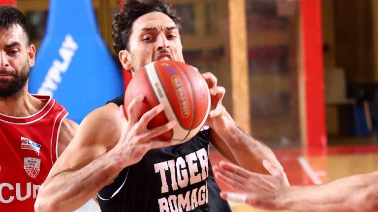 I Tigers lottano ma alla fine Ancona detta la sua legge I Tigers lottano ma alla fine Ancona detta la sua legge