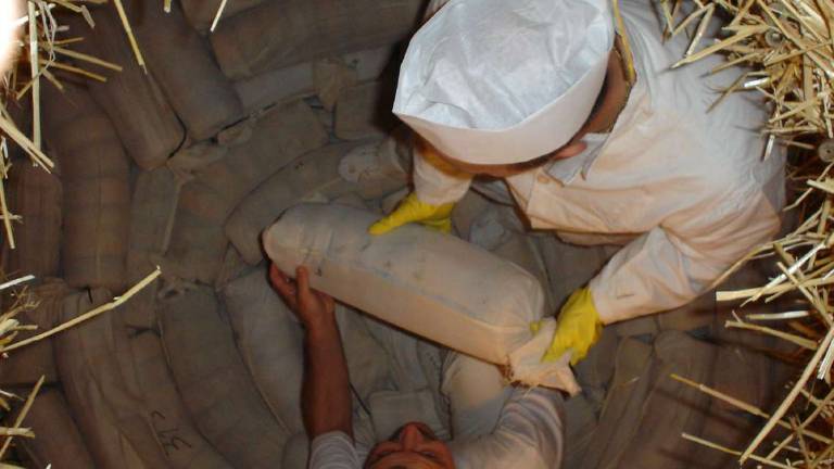 A Sogliano salta la fiera del formaggio di fossa e vendite a -70% A Sogliano salta la fiera del formaggio di fossa e vendite a -70%
