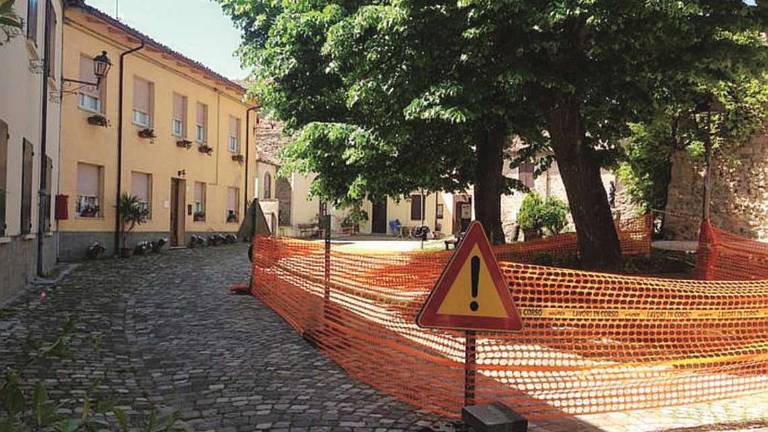 Monteleone, tiglio di un dio minore? L'abbattimento di un albero secolare accende le polemiche Monteleone, tiglio di un dio minore? L'abbattimento di un albero secolare accende le polemiche