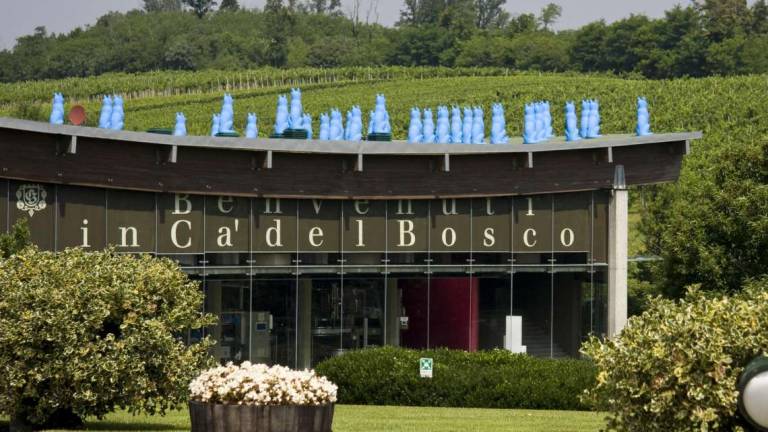 Ca' del Bosco, arte del vino in Franciacorta Ca' del Bosco, arte del vino in Franciacorta
