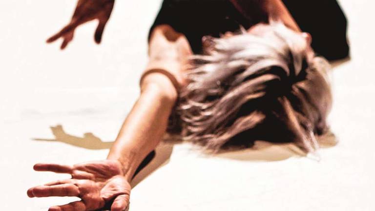Crisalide a Forlì, dal 29 agosto la 27ma edizione Crisalide a Forlì, dal 29 agosto la 27ma edizione