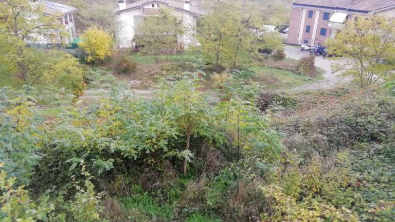 San Piero in Bagno, altro slittamento per gli alloggi ai Bordoni San Piero in Bagno, altro slittamento per gli alloggi ai Bordoni