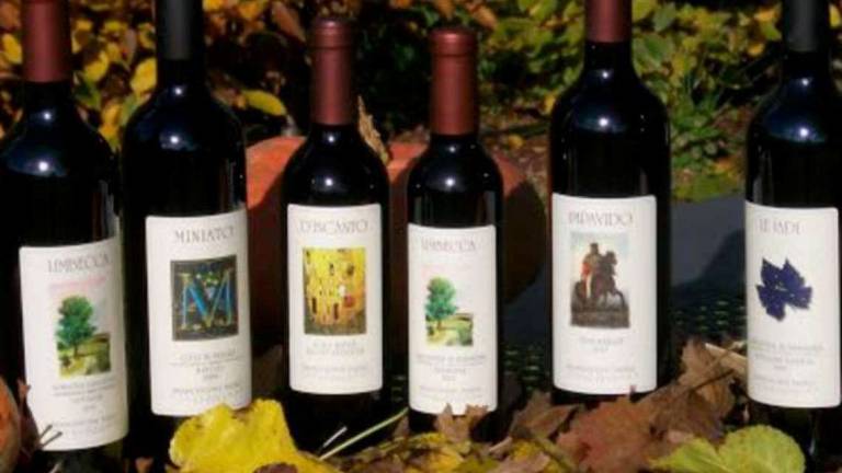 Slow Food Godo nei vigneti biodinamici di Paolo Francesconi Slow Food Godo nei vigneti biodinamici di Paolo Francesconi