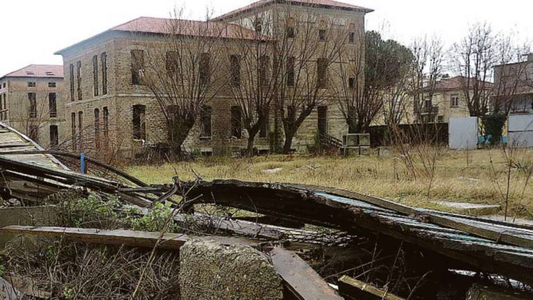 Rimini sud, i comitati: sicurezza, i rinforzi non bastano Rimini sud, i comitati: sicurezza, i rinforzi non bastano