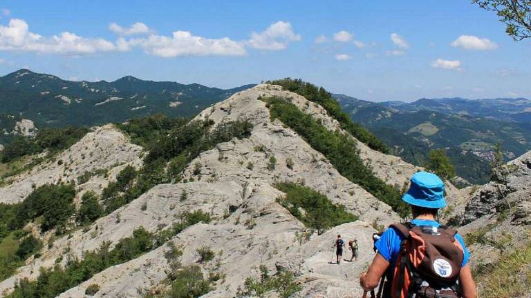 A Verghereto nasce un percorso per la corsa in montagna A Verghereto nasce un percorso per la corsa in montagna