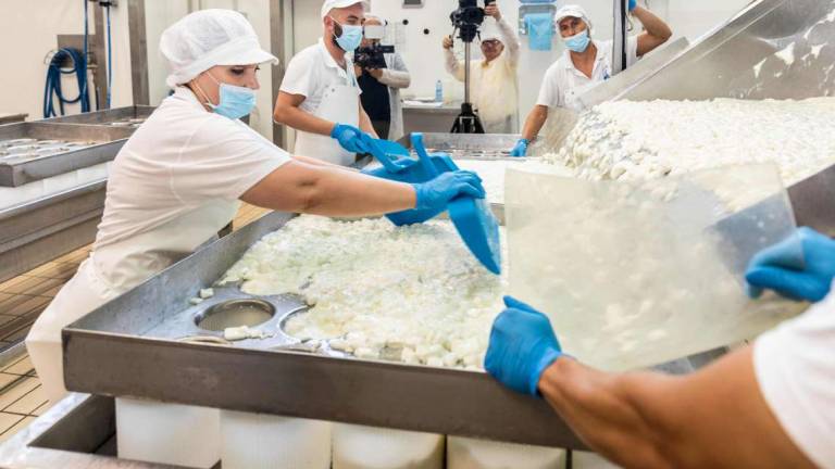 Cesena, il costo del latte cresce per via di guerra siccità e caldo Cesena, il costo del latte cresce per via di guerra siccità e caldo