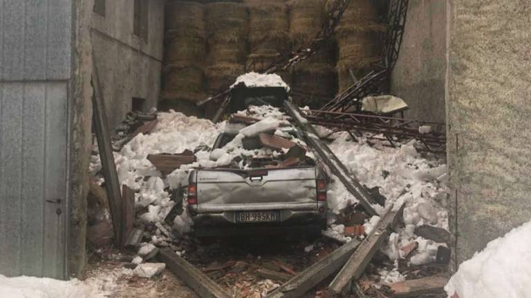 Verghereto, azienda devastata dalla neve attende rimborsi dal 2018 Verghereto, azienda devastata dalla neve attende rimborsi dal 2018
