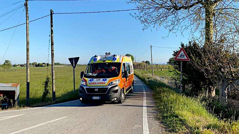 Ravenna, si arrampica sull'albero e cade, 28enne all'ospedale Ravenna, si arrampica sull'albero e cade, 28enne all'ospedale