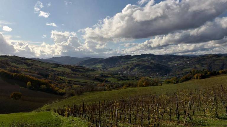 Una nuova guida ai territori del Sangiovese Una nuova guida ai territori del Sangiovese