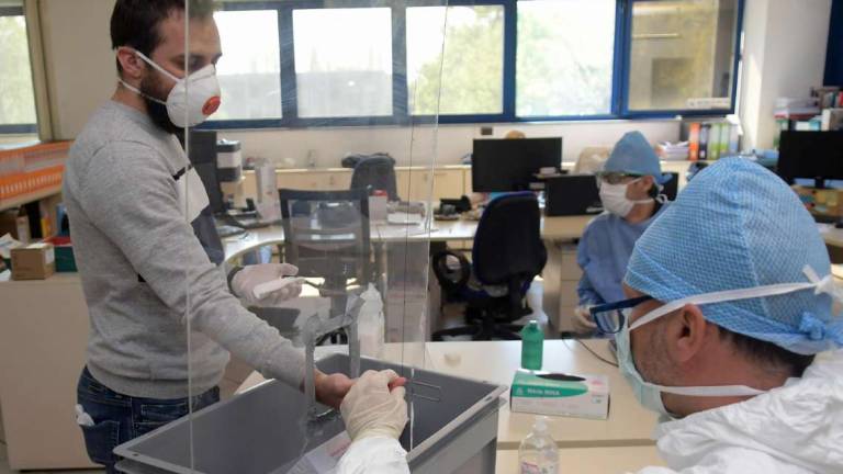 Coronavirus Ravenna, 10mila test gratis per studenti e genitori Coronavirus Ravenna, 10mila test gratis per studenti e genitori