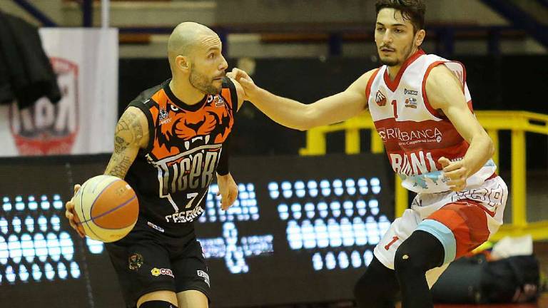 Basket B, Borsato: Tigers, c'è tempo per risalire Basket B, Borsato: Tigers, c'è tempo per risalire