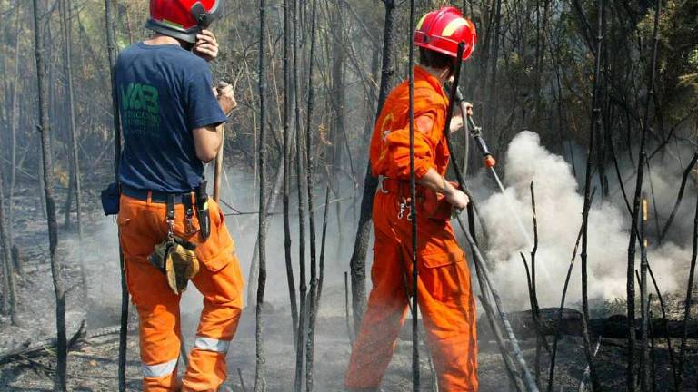 Protezione civile, incendi boschivi: scatta la fase di attenzione Protezione civile, incendi boschivi: scatta la fase di attenzione