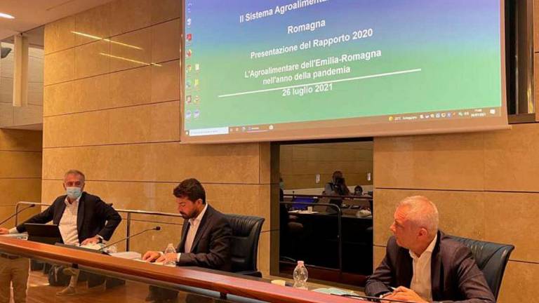 L'agricoltura nel 2020 ha rialzato la testa, lo dicono i numeri L'agricoltura nel 2020 ha rialzato la testa, lo dicono i numeri