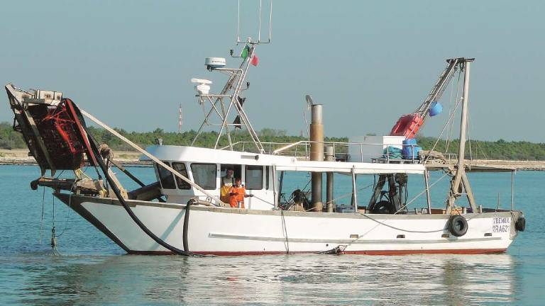Cesenatico, vongole morte o nane: protesta delle barche a Rimini Cesenatico, vongole morte o nane: protesta delle barche a Rimini