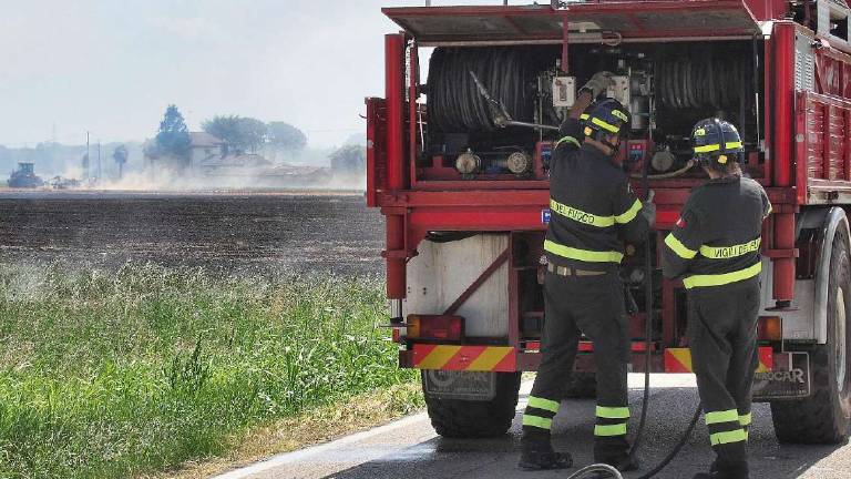 A fuoco 8 ettari di campo nei pressi di Mirabilandia A fuoco 8 ettari di campo nei pressi di Mirabilandia