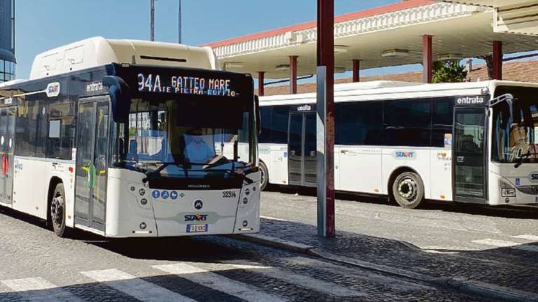 Cesena, autista di bus picchiato e scaricato dall'azienda Cesena, autista di bus picchiato e scaricato dall'azienda