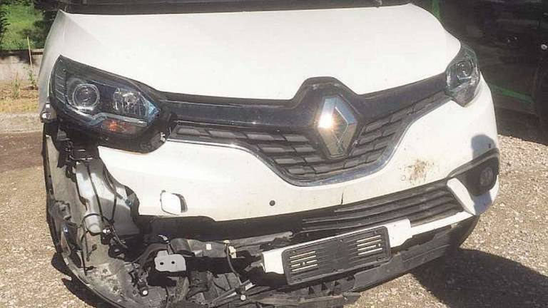 Cesena, cinghiale contro un'auto in E45: Sembrava un masso caduto dal cielo Cesena, cinghiale contro un'auto in E45: Sembrava un masso caduto dal cielo