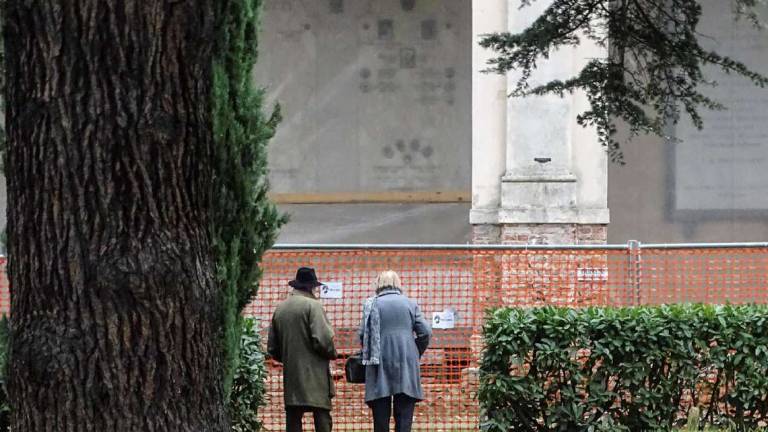 Imola, un nuovo albero patriarca. Una ventina nel circondario Imola, un nuovo albero patriarca. Una ventina nel circondario