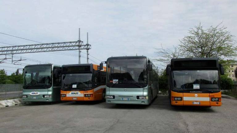 Savignano, vigilanza privata contro i vandali del bus Savignano, vigilanza privata contro i vandali del bus