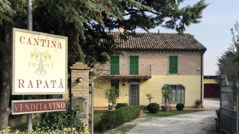 Cantina Rapatà, la sfida bordolese targata Romagna Cantina Rapatà, la sfida bordolese targata Romagna