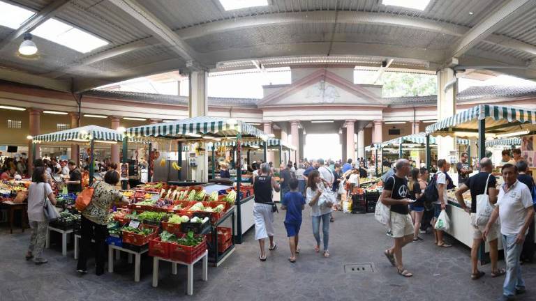 Forlì, mercato coperto: il Natale ha dato soddisfazione Forlì, mercato coperto: il Natale ha dato soddisfazione