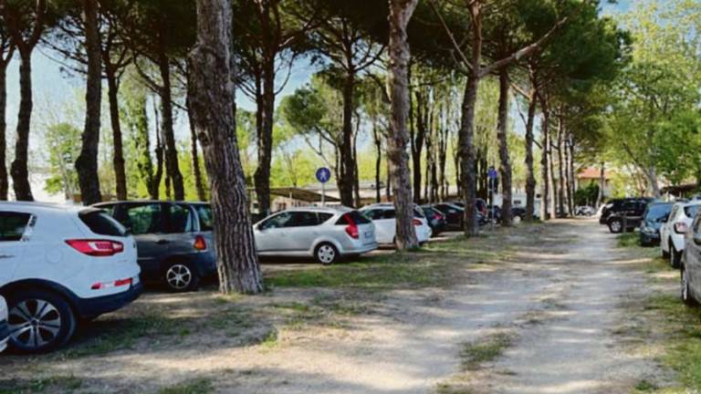 Cesenatico, corsa caotica al mare riduce la pineta a un parcheggio Cesenatico, corsa caotica al mare riduce la pineta a un parcheggio