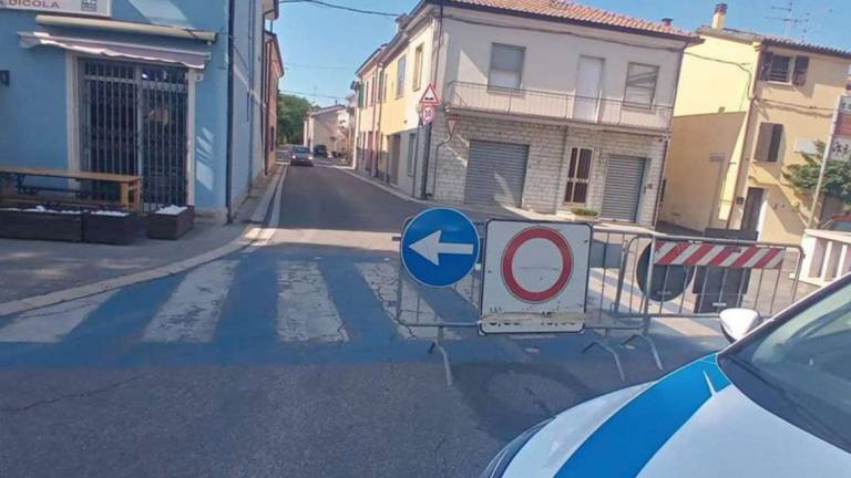 Savignano, a Fiumicino strada chiusa per 3 piante pericolanti Savignano, a Fiumicino strada chiusa per 3 piante pericolanti