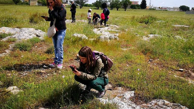 Crescono i cittadini scienziati: riparte la City Nature Challenge Crescono i cittadini scienziati: riparte la City Nature Challenge