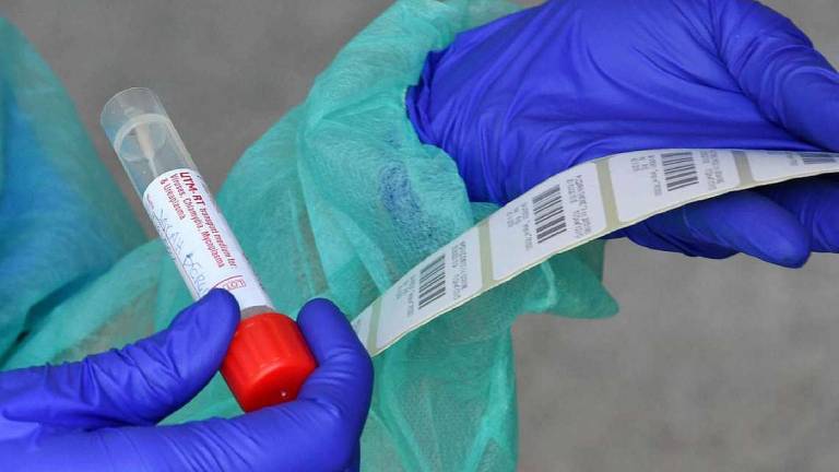 Coronavirus: meno di 20 casi nella zona di Cesena Coronavirus: meno di 20 casi nella zona di Cesena