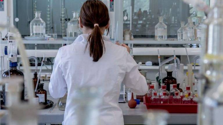 Marina di Ravenna, nasce il laboratorio Eni-Università Marina di Ravenna, nasce il laboratorio Eni-Università