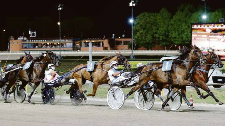 Cesena, altri 10 anni di Hippogroup: la proposta va in Consiglio Cesena, altri 10 anni di Hippogroup: la proposta va in Consiglio