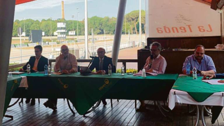 Cesena, Hippogroup va in rosso ma resiste e conferma il cda Cesena, Hippogroup va in rosso ma resiste e conferma il cda