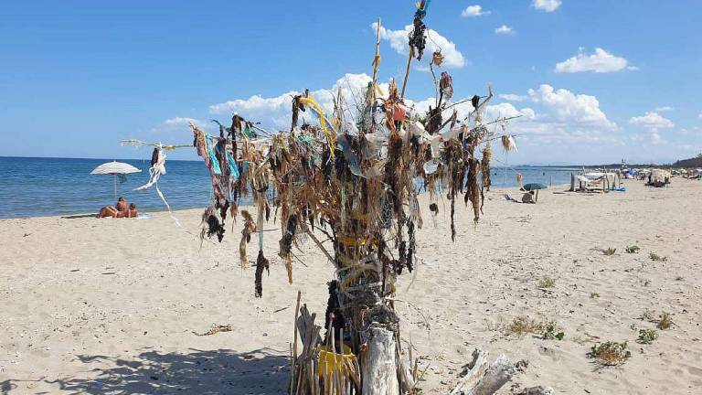 Ravenna, d'arte green al mare: l'albero dei rifiuti e alghero Ravenna, d'arte green al mare: l'albero dei rifiuti e alghero